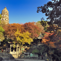 SUZHOU,CHINA - NOV 28:Suzhou tiger hill on Nov 28,2013 in China.Suzhou Huqiu tower is famous world culture heritage, yet tower body glacis 