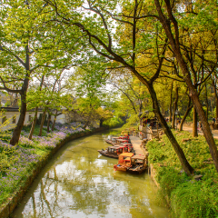Nature and flowers of the  the Tiger Hill in Suzhou city, Jiangsu Province of Eastern China.