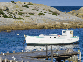 塔斯马尼亚比舍诺夜游