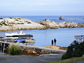 塔斯马尼亚比舍诺夜游