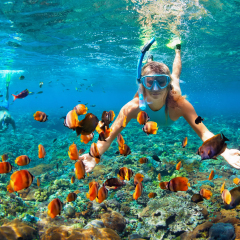 Happy family - couple in snorkeling masks dive deep underwater with tropical fishes in coral reef sea pool. Travel lifestyle, outdoor water sport adventure, swimming lessons on summer beach vacation