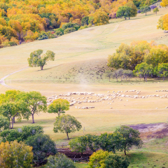 乌兰布统蛤蟆坝秋色