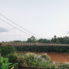 Xishuangbanna, Yunnan, China - NOV 2018 : Xishuangbanna Tropical Botanical Garden