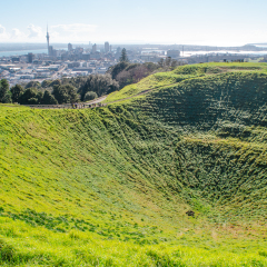 Auckland skyline from Mount Eden