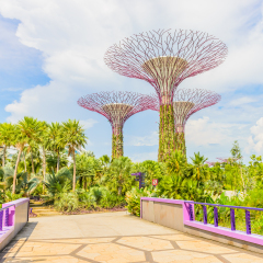Garden by the bay at singapore