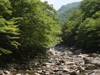 智异山国家公园