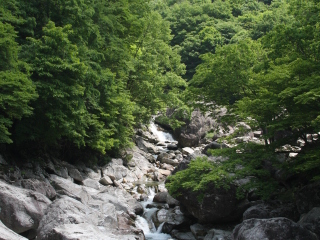 智异山国家公园