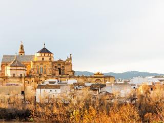哥多巴大清真寺