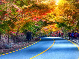 伽倻山国立公园