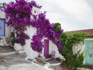 斯波拉提群岛Sporades