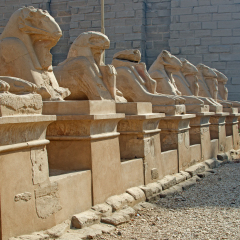 Avenue of ram-headed sphinxes in the Precinct of Amun-Re  (Karnak Temple Complex, Luxor, Egypt)