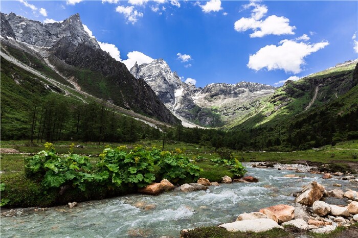 【途牛首发】再一次来到川西,邂逅夏季的花海【多图】_理县毕棚沟游记