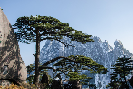 <江西-安徽-江苏-浙江专列9日游>婺源/景德镇/黄山/泰州/扬州/苏州/太湖/东阳/横店，烟花三月下江南
