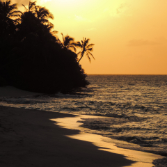 Colourful and interesting pictures from Maldives, Kuramathi Island.