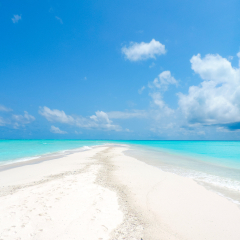 Colourful and interesting pictures from Maldives, Kuramathi Island.