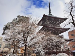 飞弹国分寺