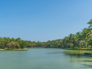 兴隆热带植物园