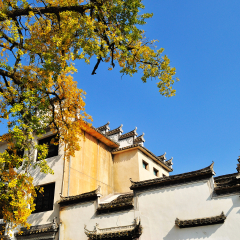 Xidi Hong Village