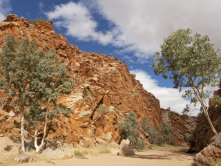 东麦克唐奈山脉