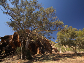 东麦克唐奈山脉