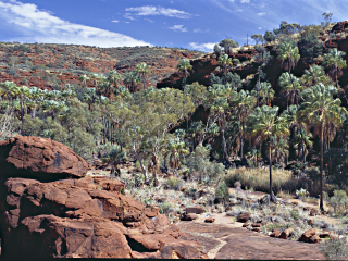 苏克峡谷国家公园