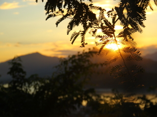 浦西山