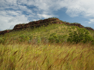 格雷戈里国家公园