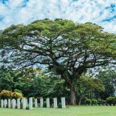 kranji war cemetery