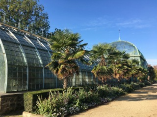 醉心奥特植物园