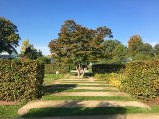 醉心奥特植物园