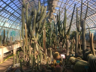 醉心奥特植物园