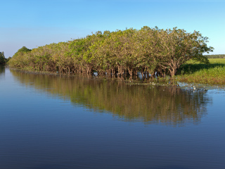 黄水河和库因达