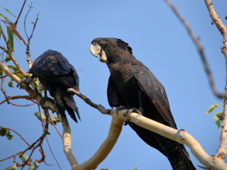 霍华德泉自然公园