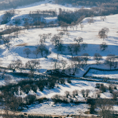 蛤蟆坝冬季雪景