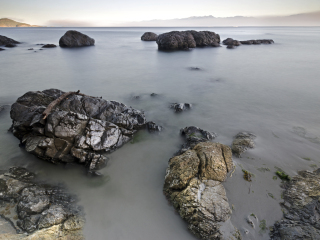 东苏克地区公园