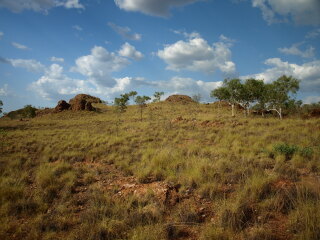 基普河国家公园