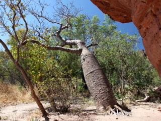 基普河国家公园