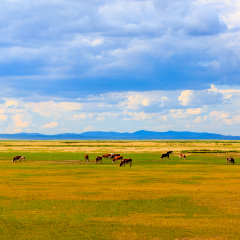 Beautiful scenery along the Hulun Buir in Inner Mongolia