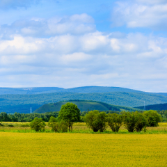 Beautiful scenery along the Hulun Buir in Inner Mongolia