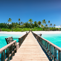Tropical Destination - Pier For Paradise Island