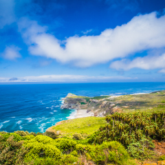 Landscapes of the Cape Point , South Africa