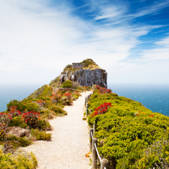 cape point nature reserve, south africa