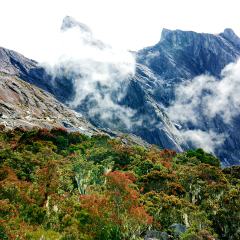 Kinabalu mountain in Kinabalu national park. Kota kinabalu - Malaysia.