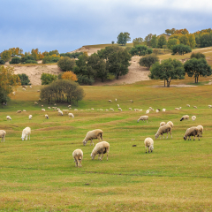 Ulan Buddhism Prairie Ranch