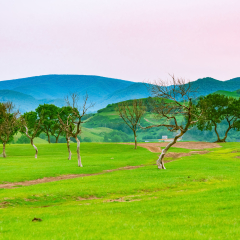 Midsummer Ulan Buddhism