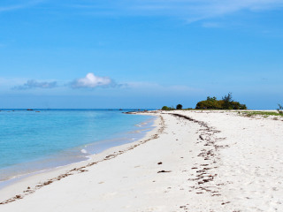 迪加岛国家公园