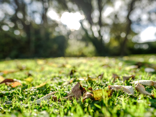 凯瑟琳低层次自然公园