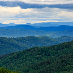 Inner Mongolia Moerdao National Forest Park
