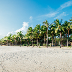 sanya bay beach