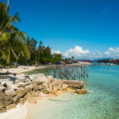White sand on the beach and palm trees, paradise island, mabul island in borneo